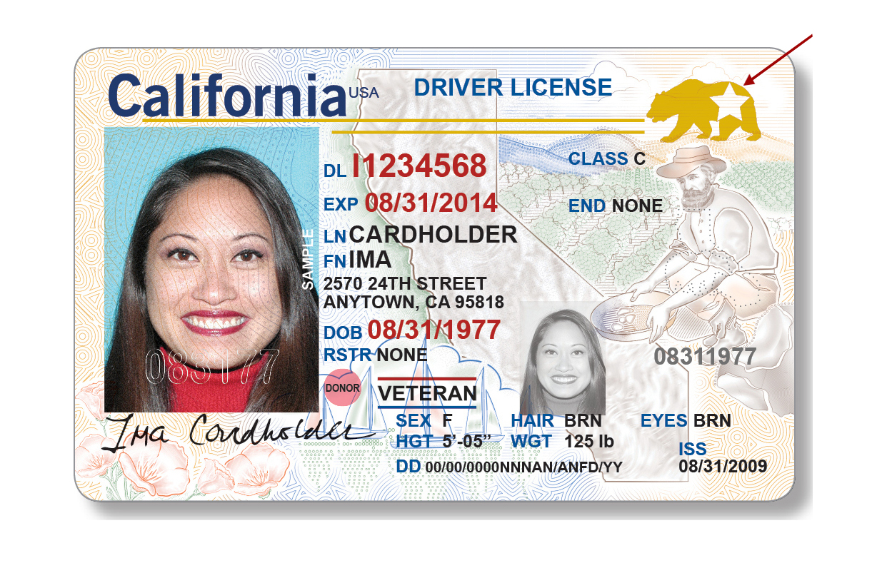 California Driver's License Hologram